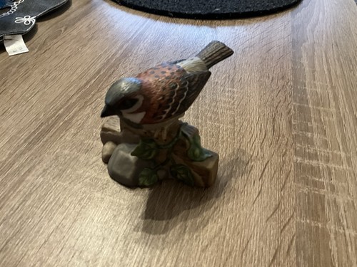 Goebel vogel sperling - vogel,