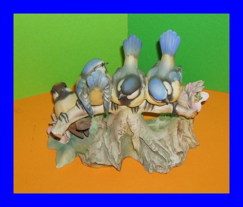 Vogelversammlung vogelgruppe - vogelversammlung,