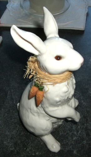 Alter hase aus - hase,