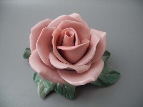 Porzellanrose ungemarkt wohl
