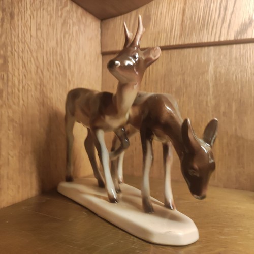 Rehbock und schmalreh - rehbock,