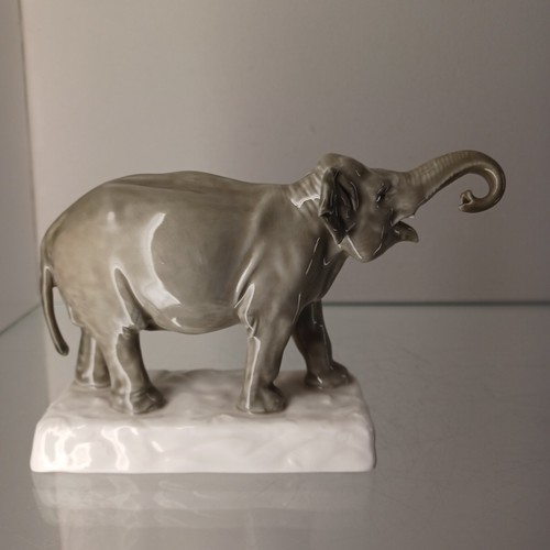 Meissen junger elefant auf - elefant,