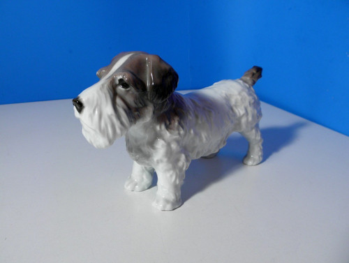 Schöner alter terrier hund - alter,